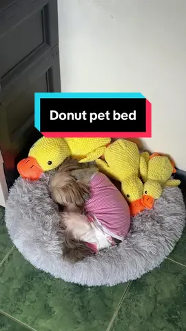 Pang mall quality tong pet bed pero ang mura ko lang nabili dito sa tiktok 🥰 #dogsoftiktok #petbed #bedfordogs #dogbed #donutpetbed 