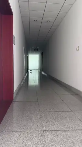 Những điều thú vị về mèo