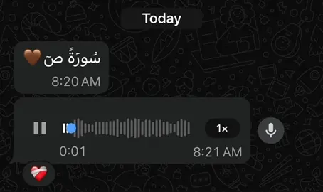 قَالَ رَبِّ ٱعْفِرْل وَهَبْ لِى مُلْكَا🤎#CapCut #قران_كريم #صلو_على_رسول_الله_صل_الله_عليه_وسلم #الرتش_فى_زمه_الله💔 #momen3boudً 