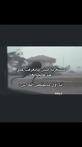 #اكسبلور #4u #explore #الجامعه #صداقات_الجامعة 