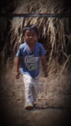 Đam mê theo o 🤣🤣 #volleyball #bongchuyen #xuhuong 