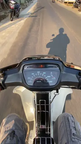 #astreaindonesia #astreanusantara #astreagrandbulus #astreagrand #grandbulus 