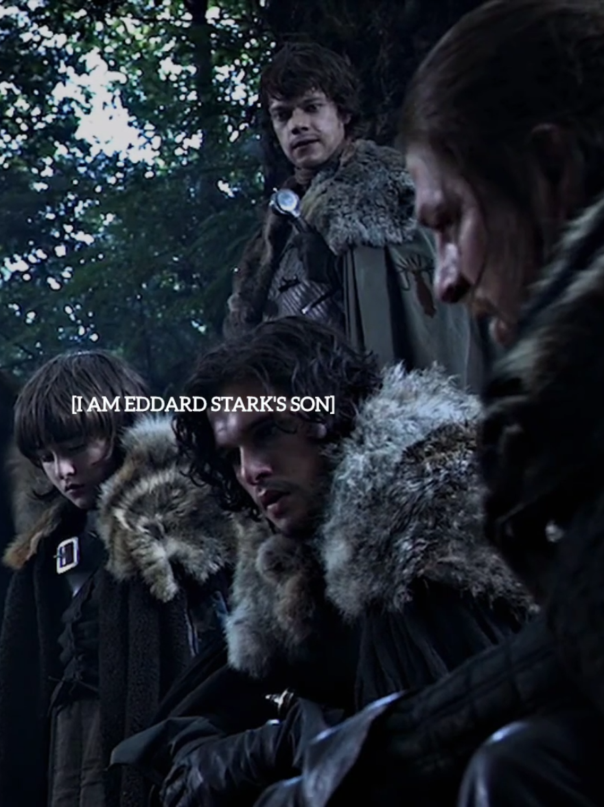 #THEONGREYJOY my beloved Theon, this has been in my head for a while and I finally sat down and made it, I hope it doesn't flop! (also, when I wrote 'and I'll be his son when we're both reposed' I meant the version of theon that wanted to please his father over the starks and reek). #gameofthethrones #asoiaf #bloodrunsthickerthanwater #foryoupage 