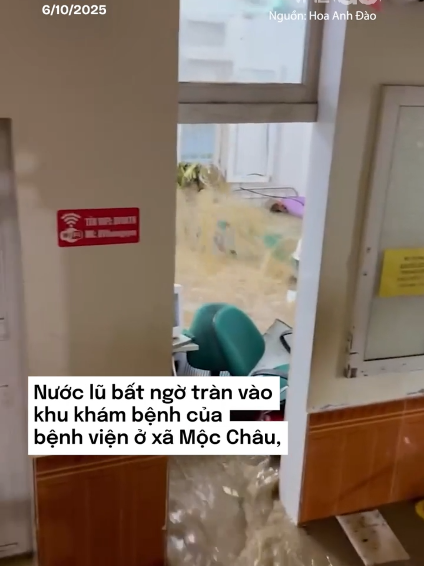 Sáng 6/10, nước lũ bất ngờ tràn vào Bệnh viện Đa khoa Thảo Nguyên, xã Mộc Châu, cuốn trôi bàn ghế và thiết bị y tế, nhân viên phải sơ tán bệnh nhân lên tầng hai. #vnexpress #tiktoknews #vne #vnego