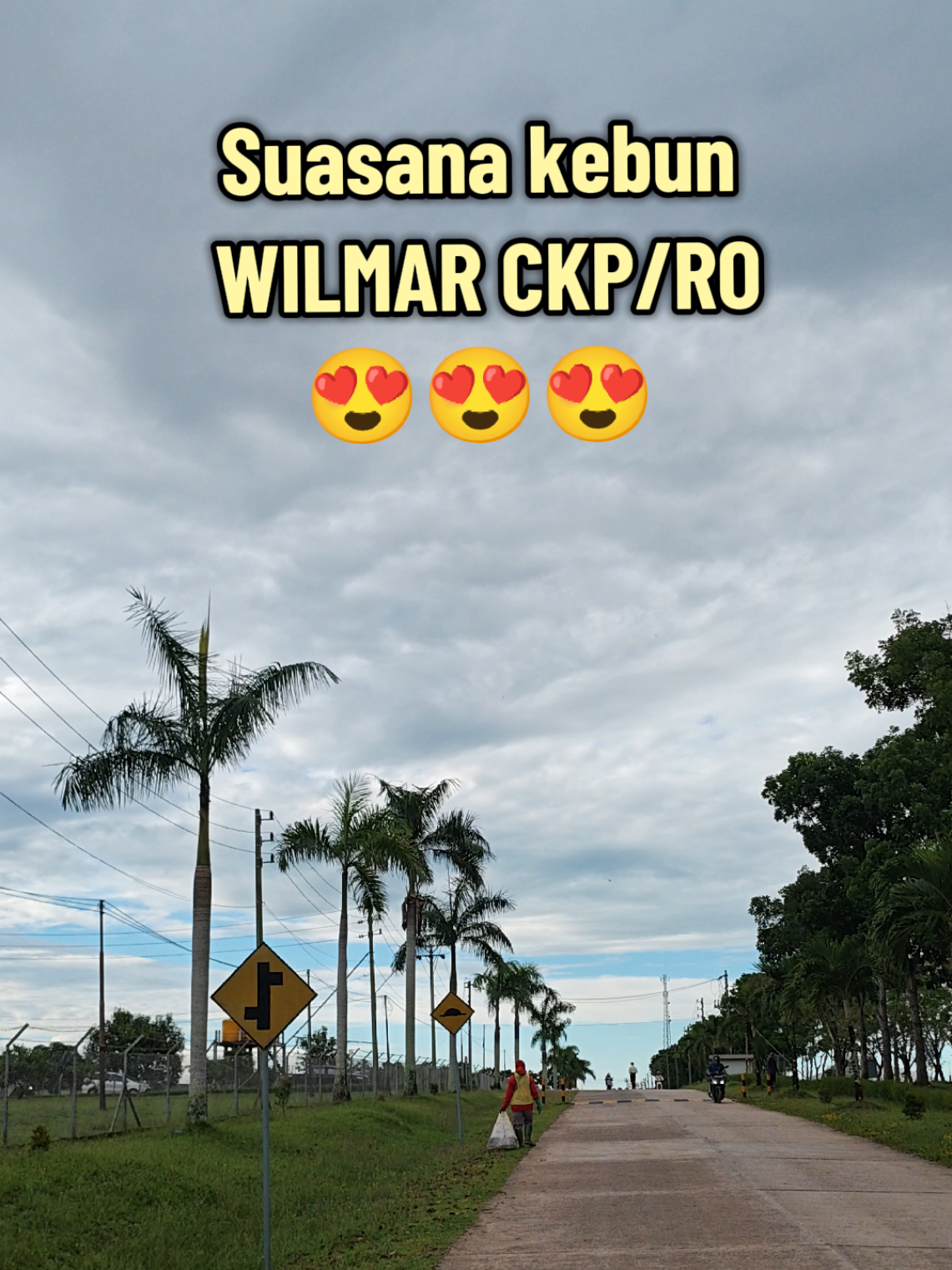 🇮🇩WILMAR ne boss..😁 #kebunsawit  #mustikasembuluh  #kulisawit 