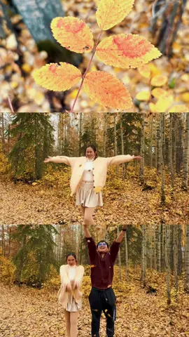 #fall #autumn 