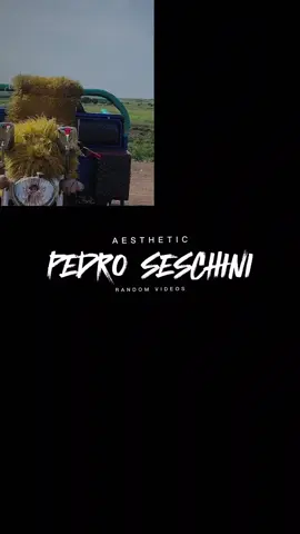 #Biscoitocut #CapCut 