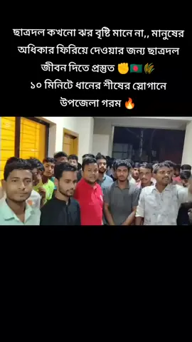 পরিশ্রম কখনো বিফলে যায় না,, আর রাজপথ কখনো বেইমানি করে না,,,, শিবগঞ্জ উপজেলা ছাত্রদল সভাপতি,, প্রিয় ভাইজান মো: বিপুল রহমান এর সাথে.. ✊🌾🇧🇩 .  .  .  .  .  .  .  #foryoupage #viral #pyp 