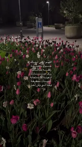 #اكسبلور 