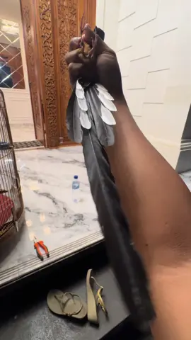 Kita otwekan ke tuan barunya, otw subuh menerjang badai banjir, semoga menghibur di tempat baru🙏