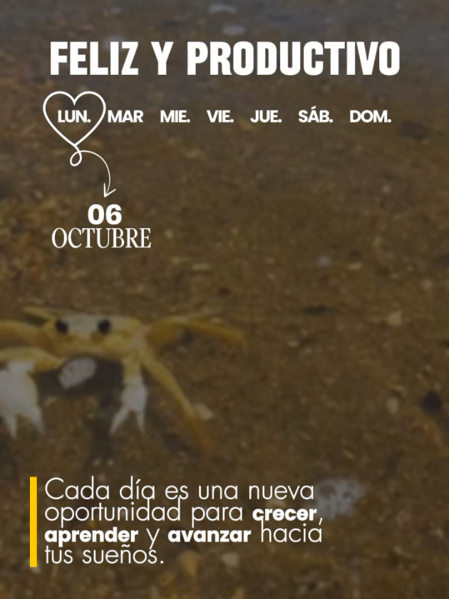 Lunes 06 de Octubre  🌞Feliz y bendecido lunes #lunes #motivation #frases #exito #bendiciones 