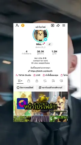 สำหรับท่านผู้เจริญทุกท่าน #niko25 #fyp #p #dog #superman 