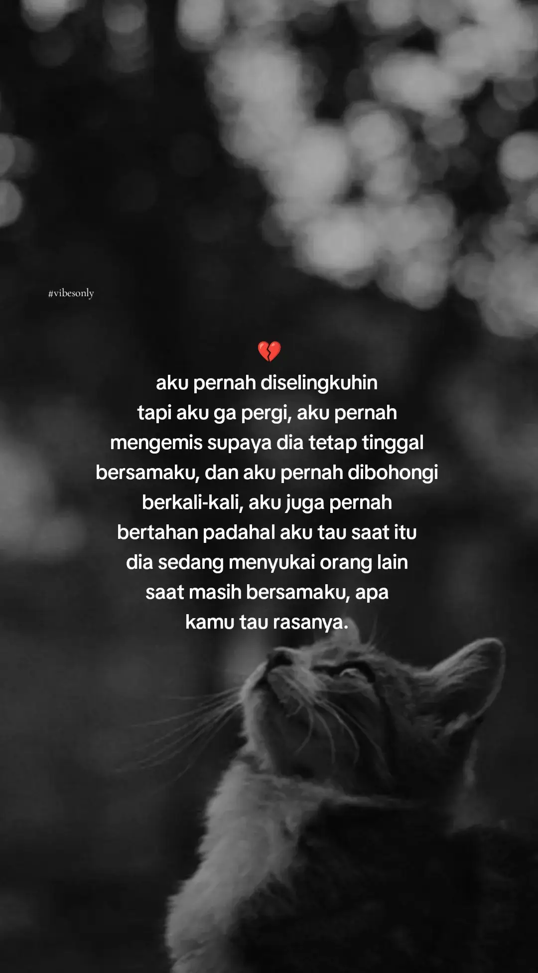 kamu tahukan,gimna rasanya itu?. #fyp #katakata #vibesonly #sadvibes #galaubrutal 
