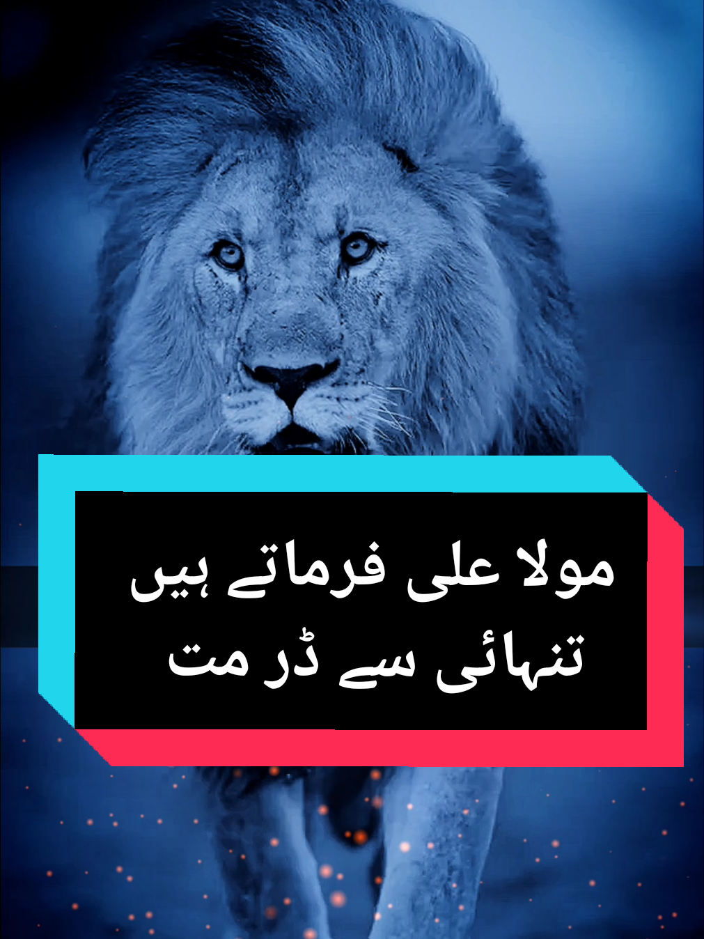 Tanhai se dar mat.. 💯🔥 #hazartali #lifelessons #realtalk #motivation #foryoupage❤️❤️ 