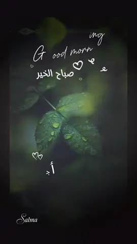 كل فرحة تصنعها لغير ستعود لك و هي أجمل 🌹 صباح الخير #تيك_توك_هادئ #مزاج_رايق #تصميمي #هشتاقsoso_1391 #صباح_الخير 