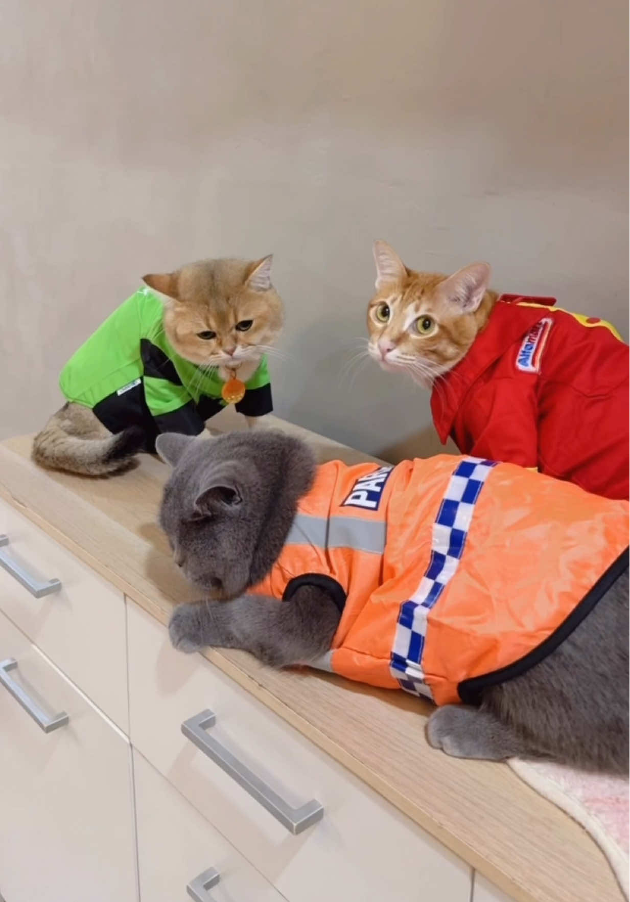 Leon tinggal di kos Irma 🙄