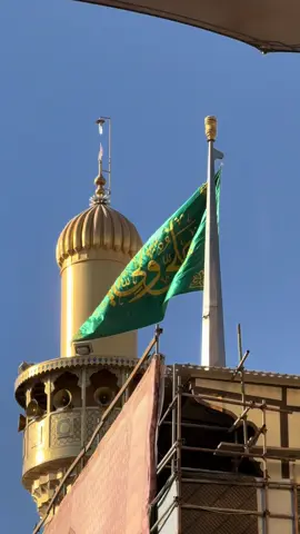 #مرقد_الامام_علي_عليه_السلام #ياعلي_دخيلك_تسمعني_وادري_ماتخيبني #تصويري_احترافي_الاجواء👌🏻🕊😴 