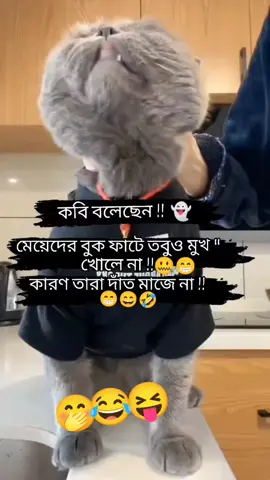 🤭মেয়েদের বুক ফাটে তবু মুখ খোলেনা  কারণ তারা দাঁত মাজে না..!!😂🤪 #tiktok #fouryou #সাপোট_করলে_সাপোট_পাবেন🇧🇩👌😍💗❤️🤝🤝🤝🥰 