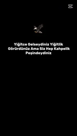 S T O R İ L İ K VİDEYO BIRAKTIM ☝️ ❤️‍🩹  🦅#keşfeteyizzz#gaziantepprovince #birumutturyaşamak#raconkesme #vatanmahallesi