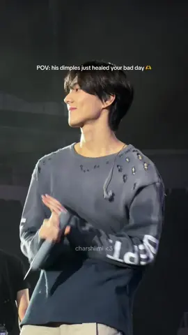 Jungwon’s dimples should have their own fanclub 😭✨ #concerttok #walktheline_in_sg #jungwon #jungwon #enhypen 