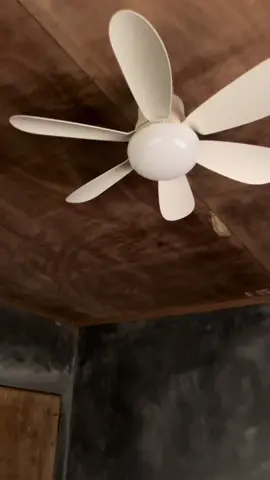 #creatorsearchinsights #trending #ceilingfan#led #ledlight 