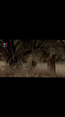 #storyvideo #viralvideo #tanzania🇹🇿 #fypシ゚viral #foryoupage 