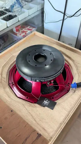 RDW 15 inch LS1530FT