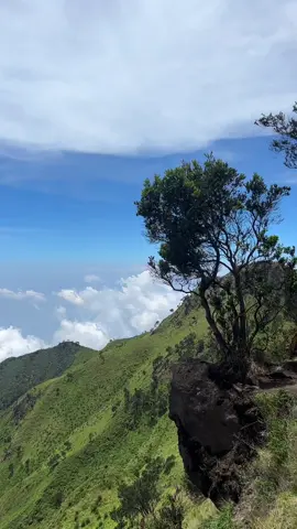 Merbabu 03 Oktober 2025 #Hiking #merbabumountain 