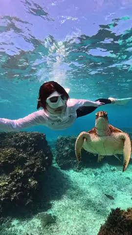 #宮古島 #シュノーケリング #スキンダイビング #ウミガメ #freediving 