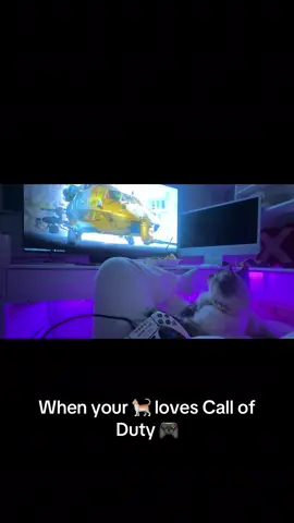 She LOVES to watch me play it’s sooo cute! 😂😝 #warzonebestclips #catsoftiktok #fypシ゚viral 