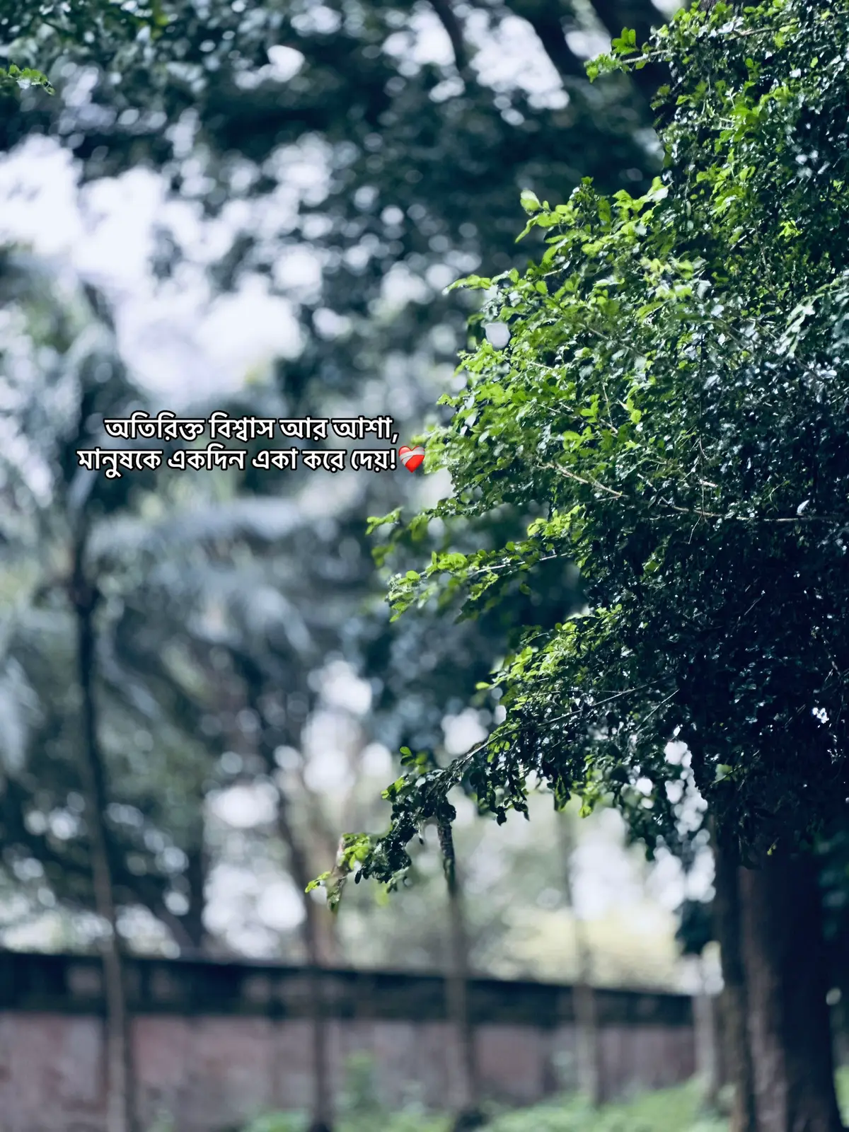 #Outfit cowok Berwarna #foryou 