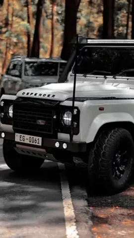 #defender #sldefenderloversclub #landroverdefender #foryou #viral 