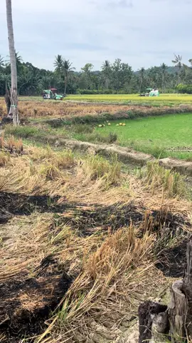 @DAENG FIR info pammejang 🌾🌾🌾🌾#fyp #doser_balap #DC70_PRO #SJS_GROUP 