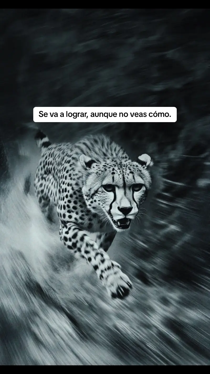 😅• Este año ni chanze de casarme medio, a ver si pal otro.
