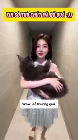 Dễ thương quá đi #xuhuong #Video 