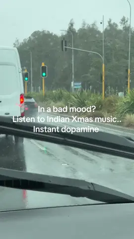Just hopping on the trend #indiantiktok #india #funnyvideos #fypシ゚ 