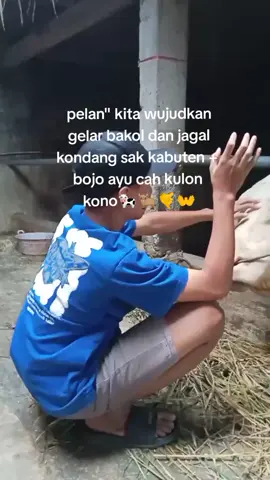 #peternakmuda #peternaksapiindonesia #peternak #sapi#sapiqurban #sapi #fyppppppppppppppppppppppp #blantiksapi #bosmuda #setiafarm #sobatngaret