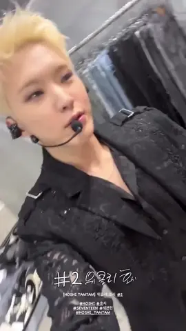 idk how to describe how special he is in my heart😭💗 #hoshi #seventeen #svt #fyp #carat 