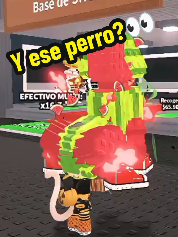 Cachorrito Melonito haciendo el 5x30 🍉🐶 -------------------------------- #Roblox #stealabrainot #RobloxFYP #fypシ゚ #humor 