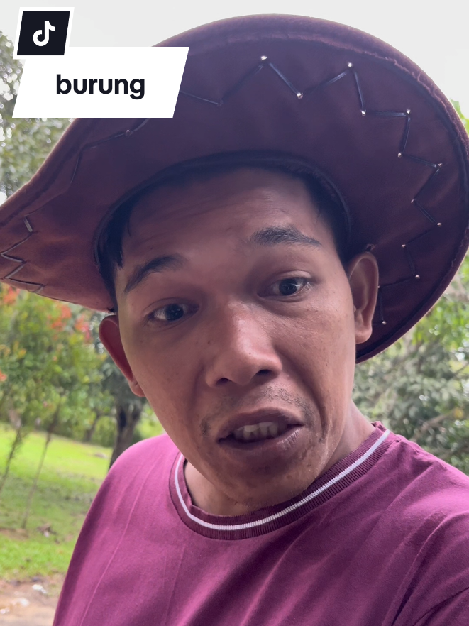 #Saweh Comdy  #tidak bleh Lawan burung bapak nya #viral #fyp  #fannyvideo🤣🤣🤣🤣🤣🤣 