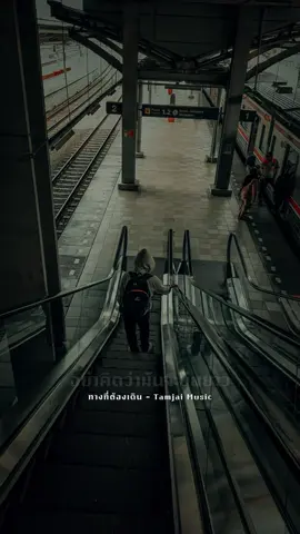 เคยฝันอยากมีชีวิตดี #ทางที่ต้องเดิน #tamjaimusic #เพลงใหม่มาแรง #เพลงฮิตtiktok #fypシ゚ 