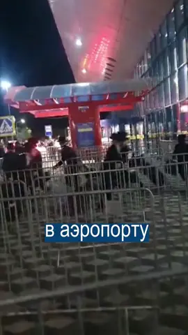 В аэропорту Кишинёва засняли танец паломников, которые опаздывали на рейс. Группа хасидов во время возвращения домой через кишинёвский аэропорт изобразила змейку с телефона Нокиа 3310.