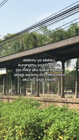 #foryoupage #4u #bahanswmu #bismillahfyp 