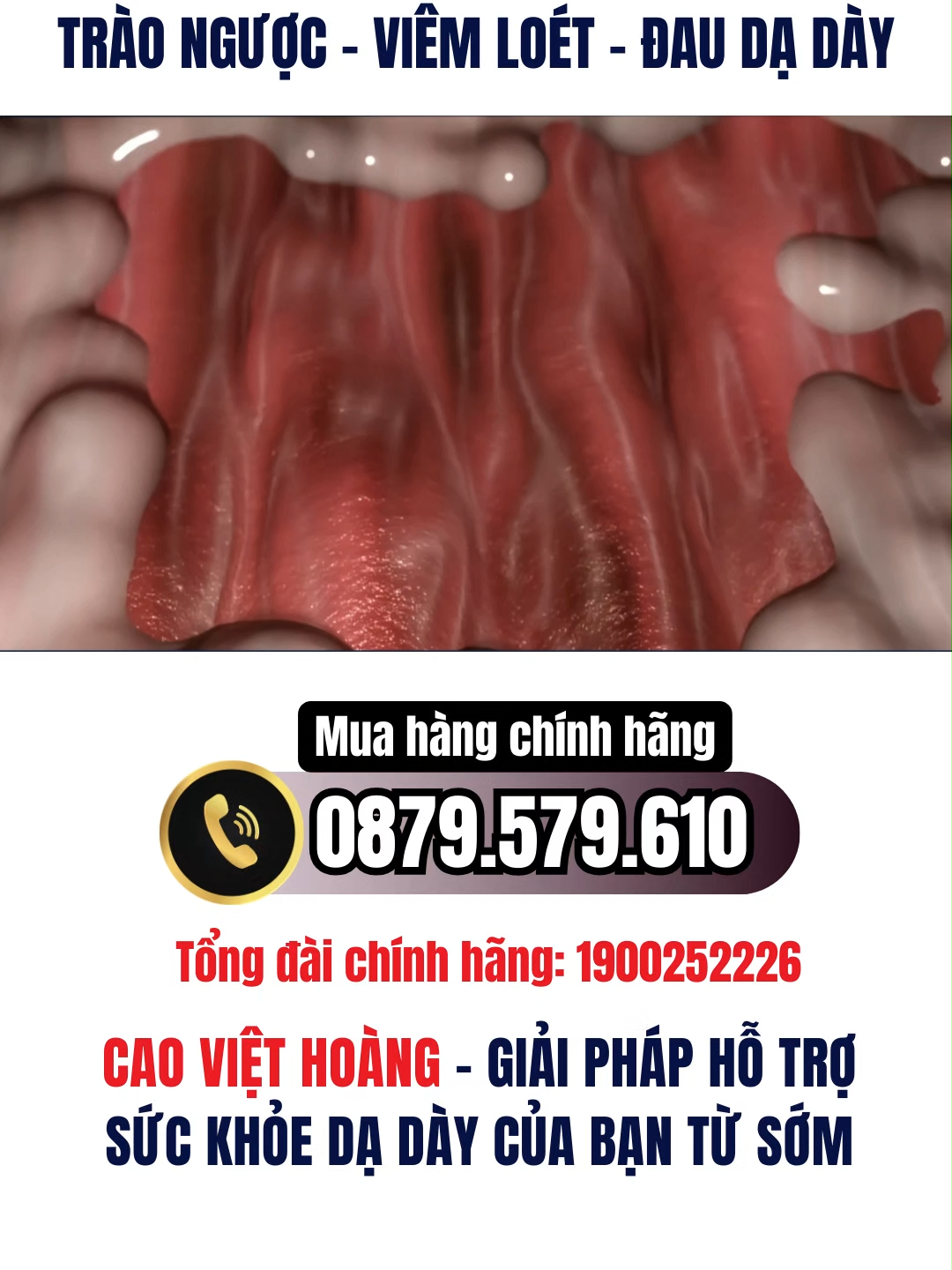 Cao Việt Hoàng Chính Hãng