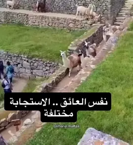 ليست المسألة في الظروف، بل في كيفية استجابتك لها. 🌿✨
