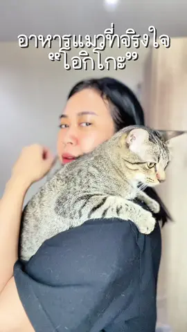 อาหารแมวที่เจ้าเหมียวเลิฟทั้งบ้าน กินได้ทุกวัยตั้งแต่แมวเด็กยันแมวโต ทาสก็แฮปปี้ #อาหารเม็ดแมว #อาหารเม็ดโอกิโกะ #อาหารเม็ดokiko #สุขภาพที่ดีเริ่มด้วยโอกิโกะ #โอกิโกะดีต่อแมวคนok 