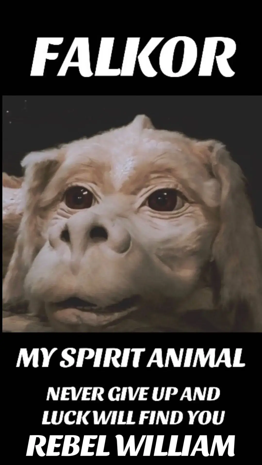 #rebelwilliam🔥 #108🔥 