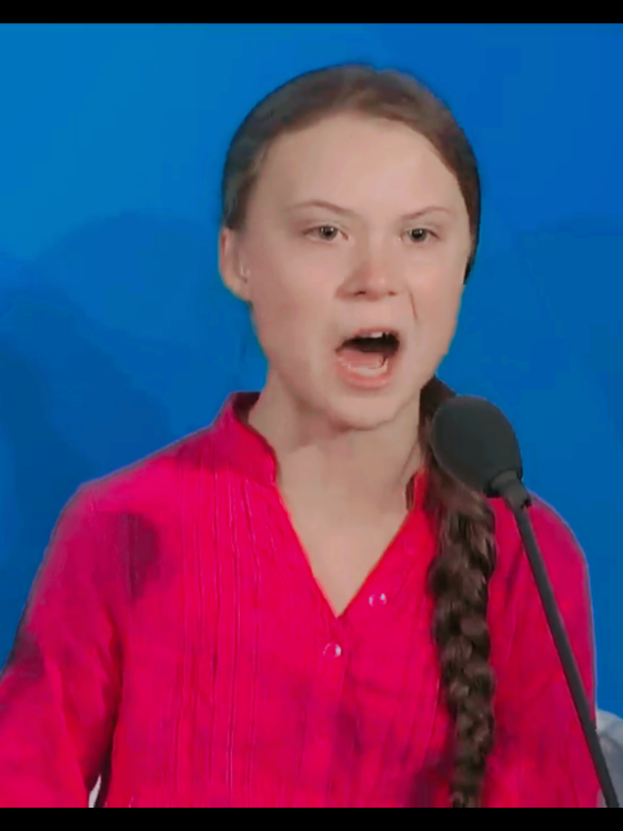 THE WOMAN ever. Free Palestine Free Palestine Free Palestine from the river to the sea, Palestine will be free. #GRETATHUNBERG  #flotilla  #bringthemhome  #freepalestine #peoplewhosupportpalestinearefineshyts 