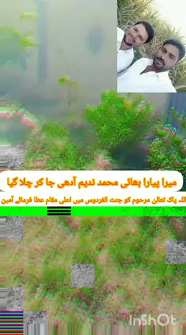 #سنگت_ویڈیو_وائرل_کریسو_آپ_ہیں #tiktok #foryoupage❤️❤️ #😢😭💔😓😓💔💔😭😭😰😢 