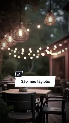 Sáo mèo tây bắc // mẫu #maucapcut #nhachaymoingay #paratiiiiiiiiiiiiiiiiiiiiiiiiiiiiiii 